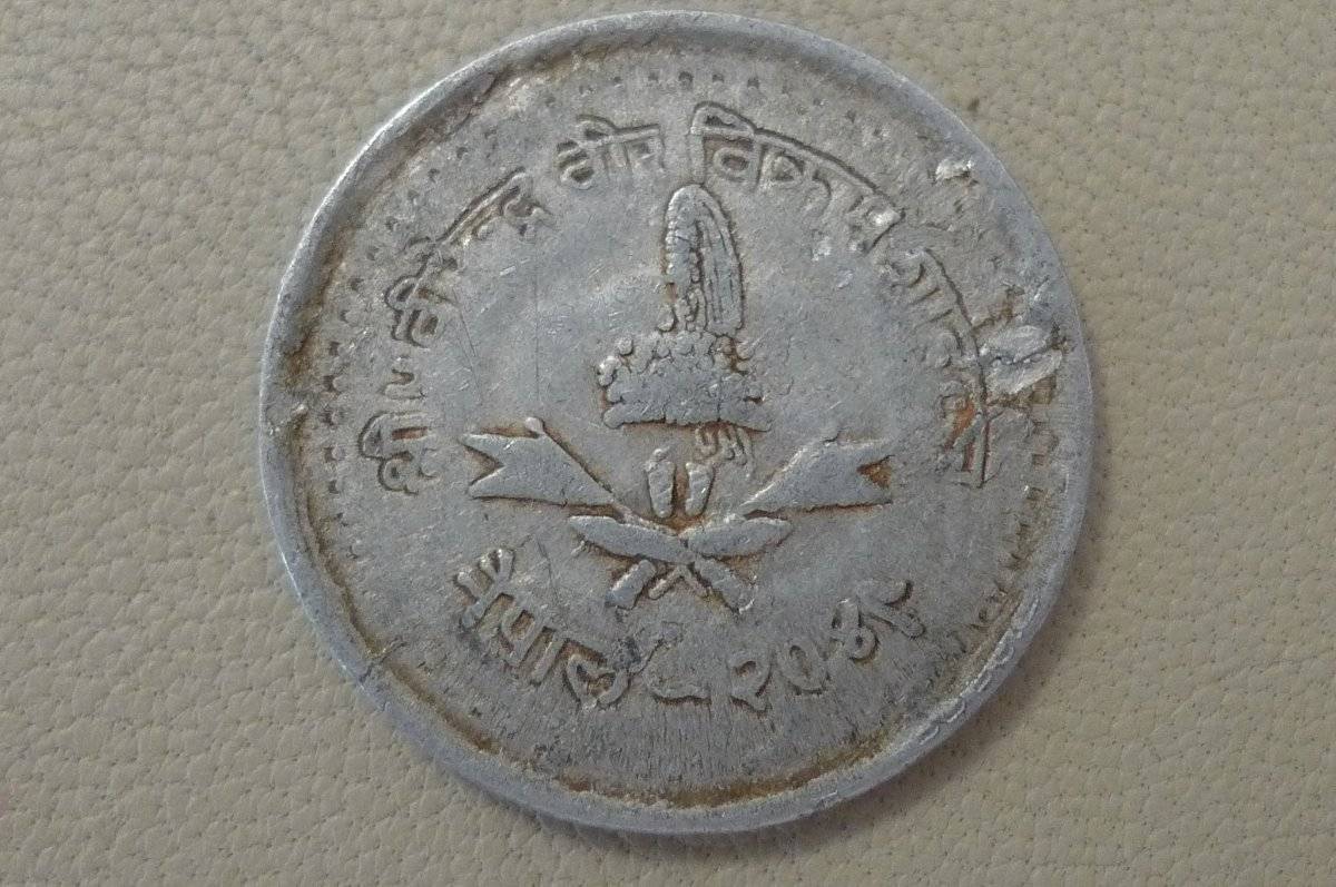 166-Days-Of-Yakko's-World-Coins