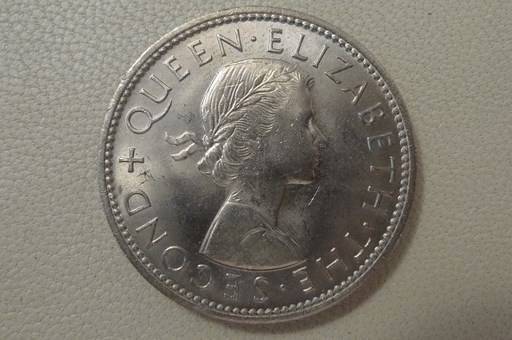 166-Days-Of-Yakko's-World-Coins