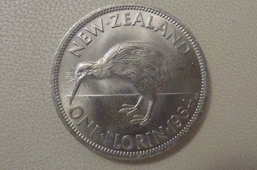 166-Days-Of-Yakko's-World-Coins