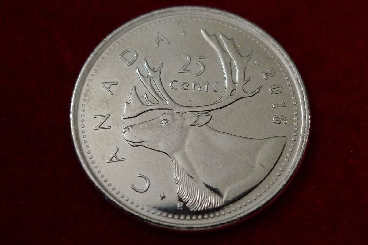 Post-Your-Coins-Representing-The-Animal-Kingdom.