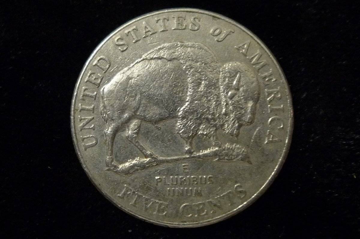 Post-Your-Coins-Representing-The-Animal-Kingdom.
