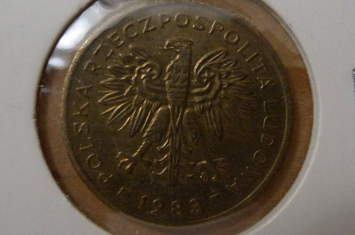 Yet-Another-Forum-Game---Numismatic-Go-Fish!