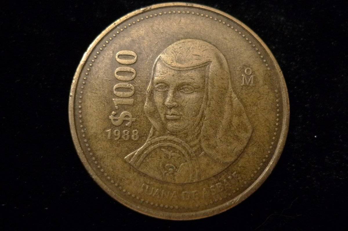 Post-Your-Coins-Representing-The-Animal-Kingdom.
