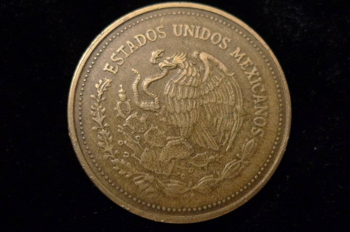 Post-Your-Coins-Representing-The-Animal-Kingdom.