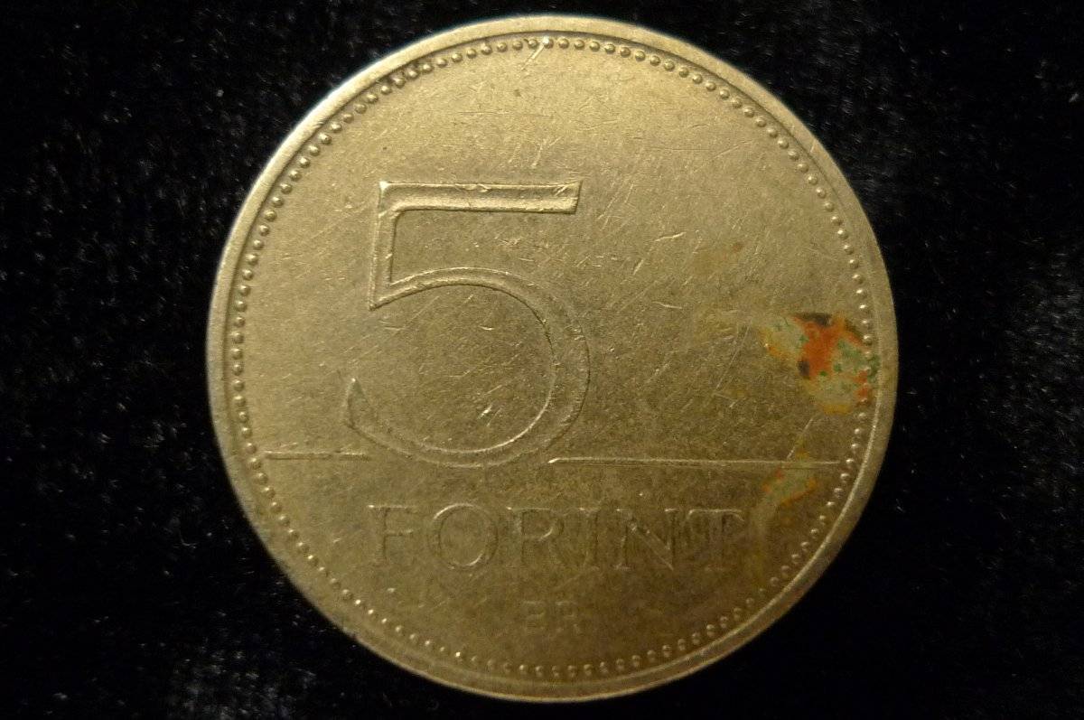 Post-Your-Coins-Representing-The-Animal-Kingdom.