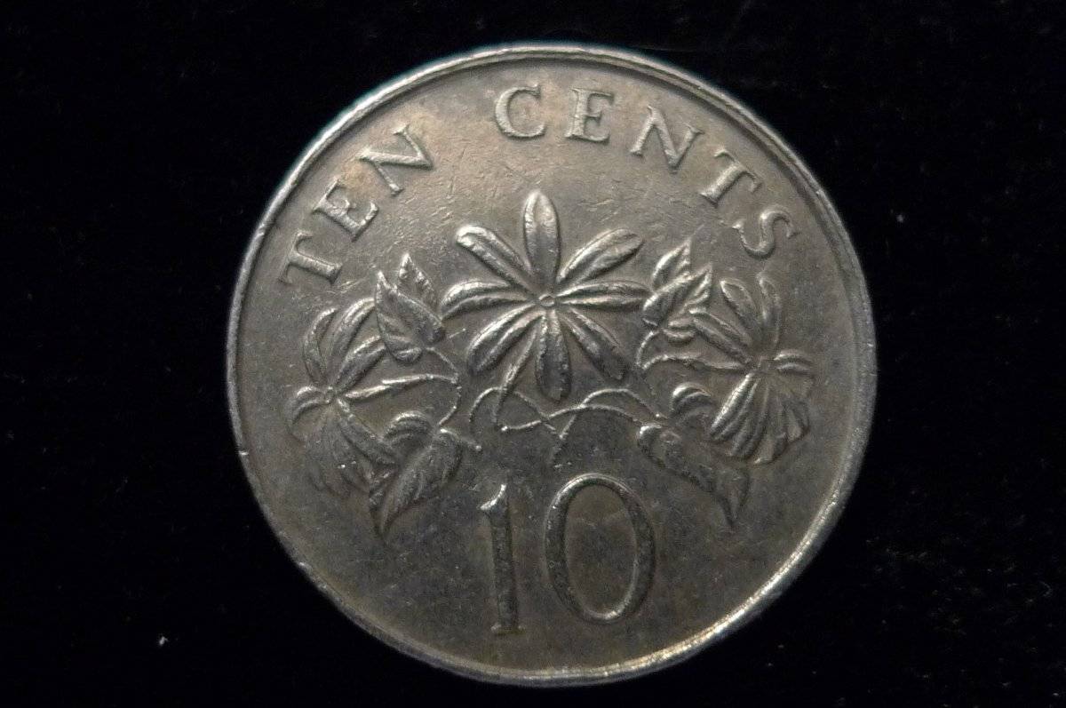 Around-The-World-With-Coins---A-Coin-Geography-Game