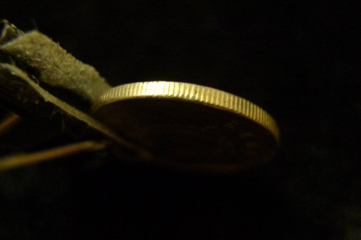 Show-Your-Coins-With-Different-Edges