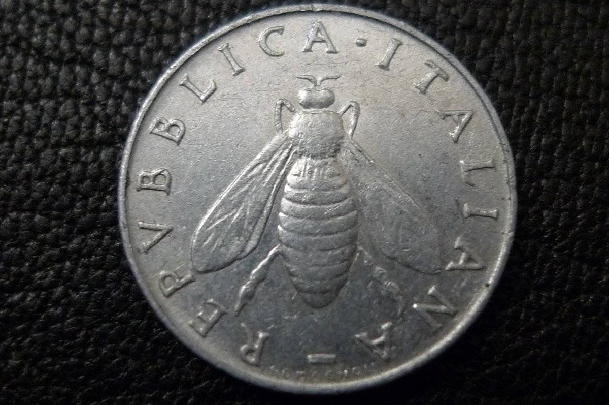Post-Your-Coins-Depicting-Insects