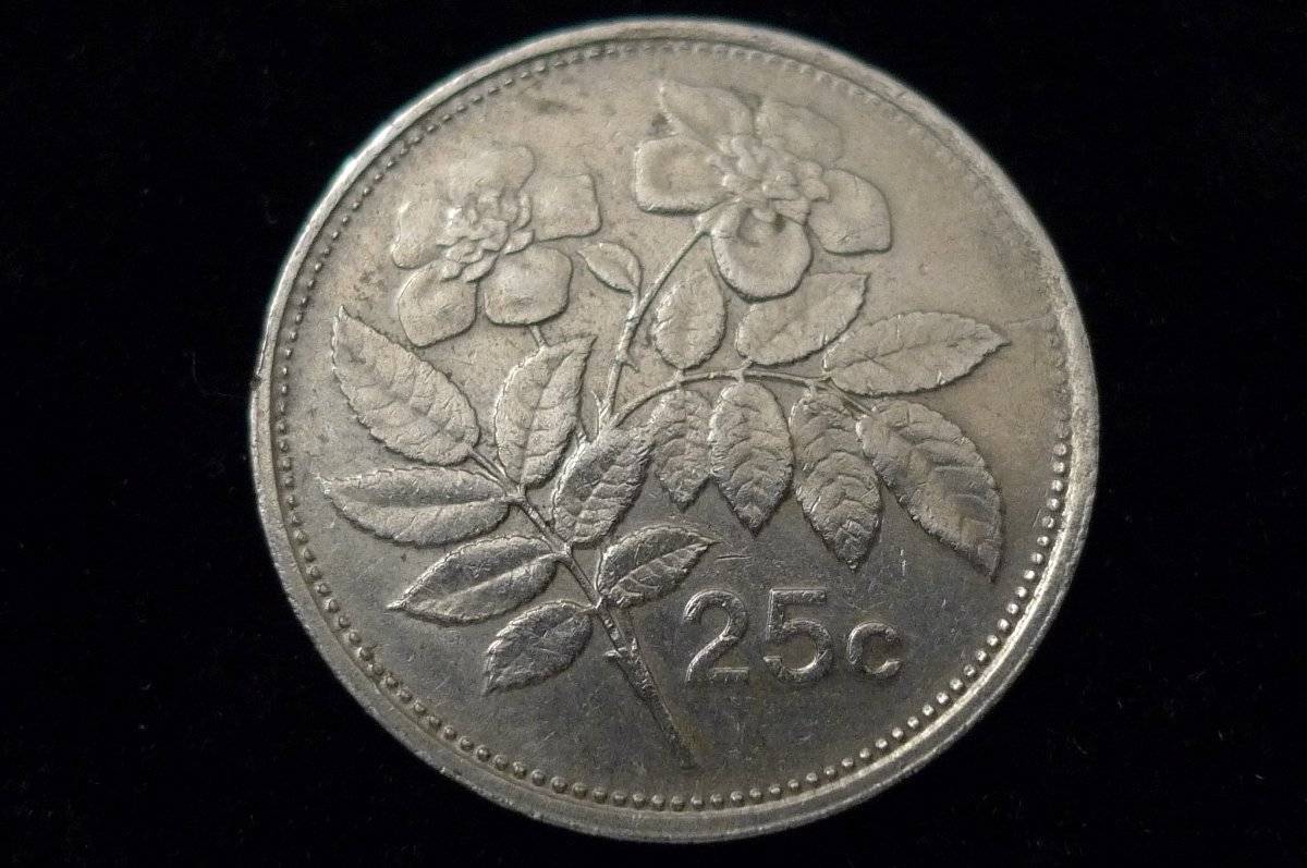 Show-Your-Coins-With-Different-Edges