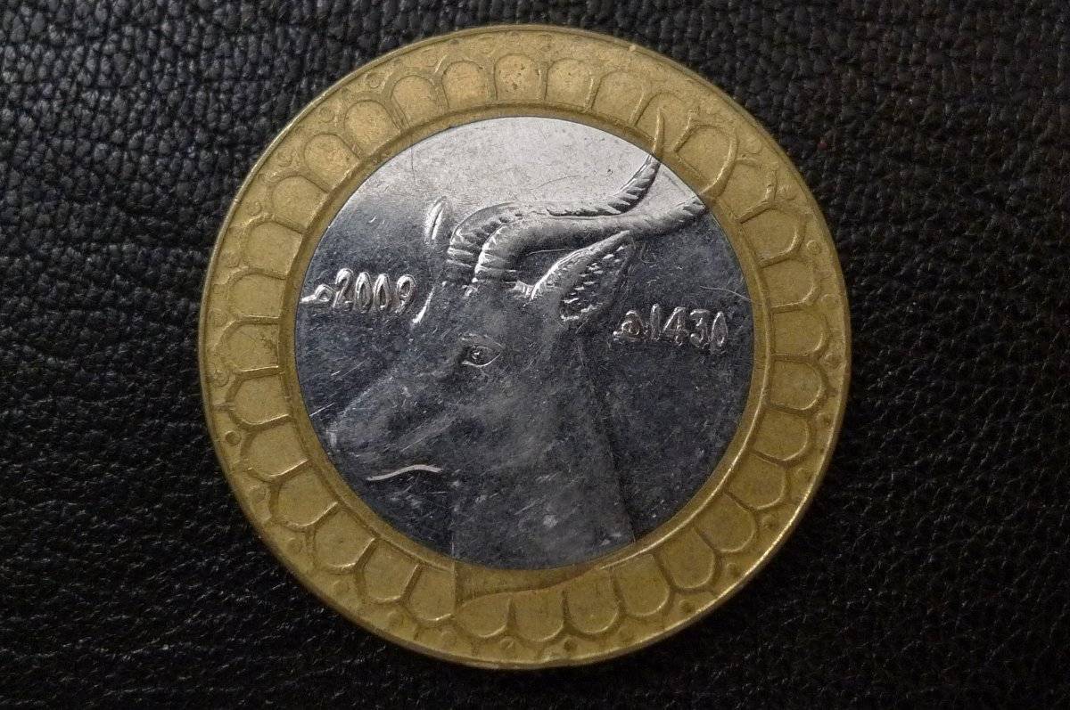 Around-The-World-With-Coins---A-Coin-Geography-Game