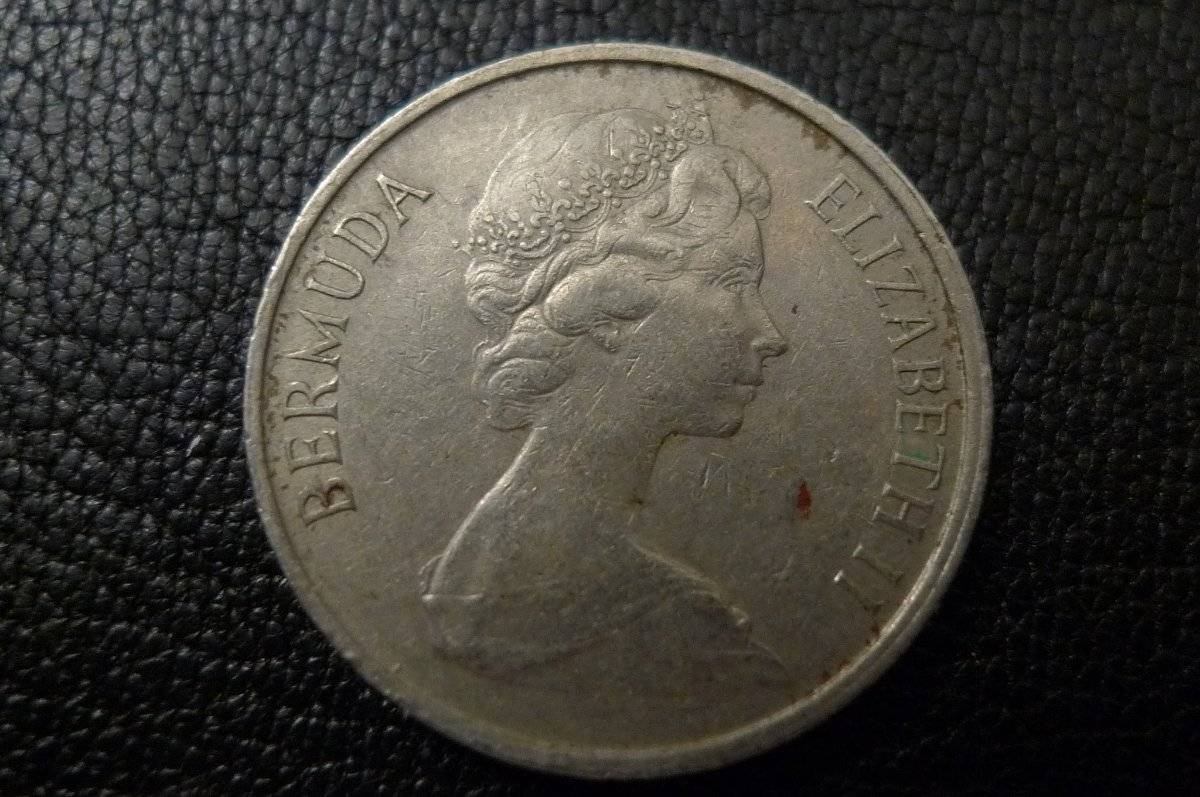 Post-Your-Coins-Representing-The-Animal-Kingdom.