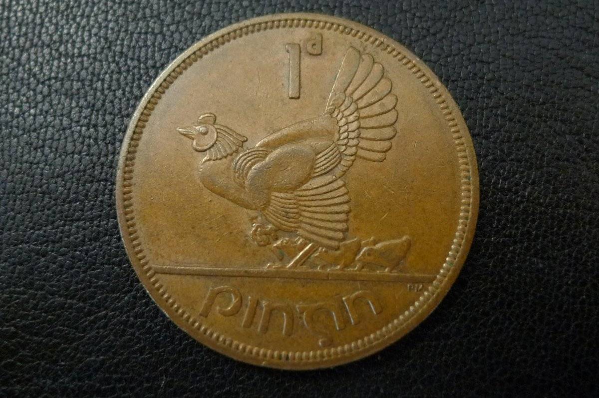 Post-Your-Coins-Representing-The-Animal-Kingdom.