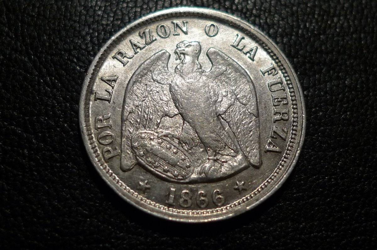 Post-Your-Coins-Representing-The-Animal-Kingdom.