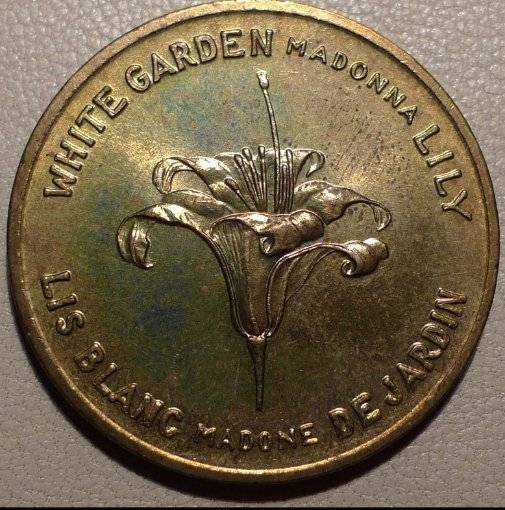 Post-Your-Lion-Coins!