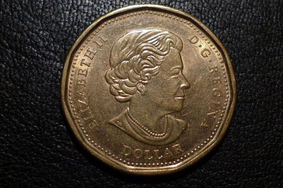 Post-Your-Coins-Representing-The-Animal-Kingdom.