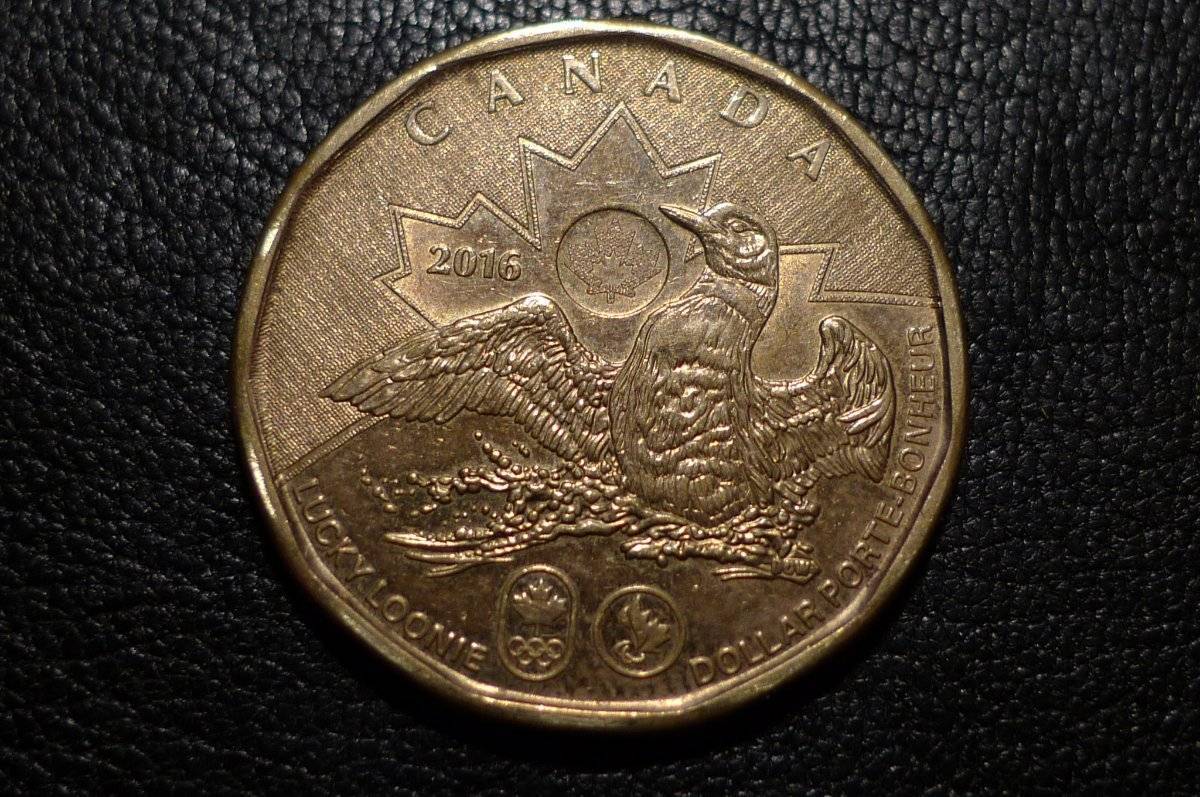 Post-Your-Coins-Representing-The-Animal-Kingdom.
