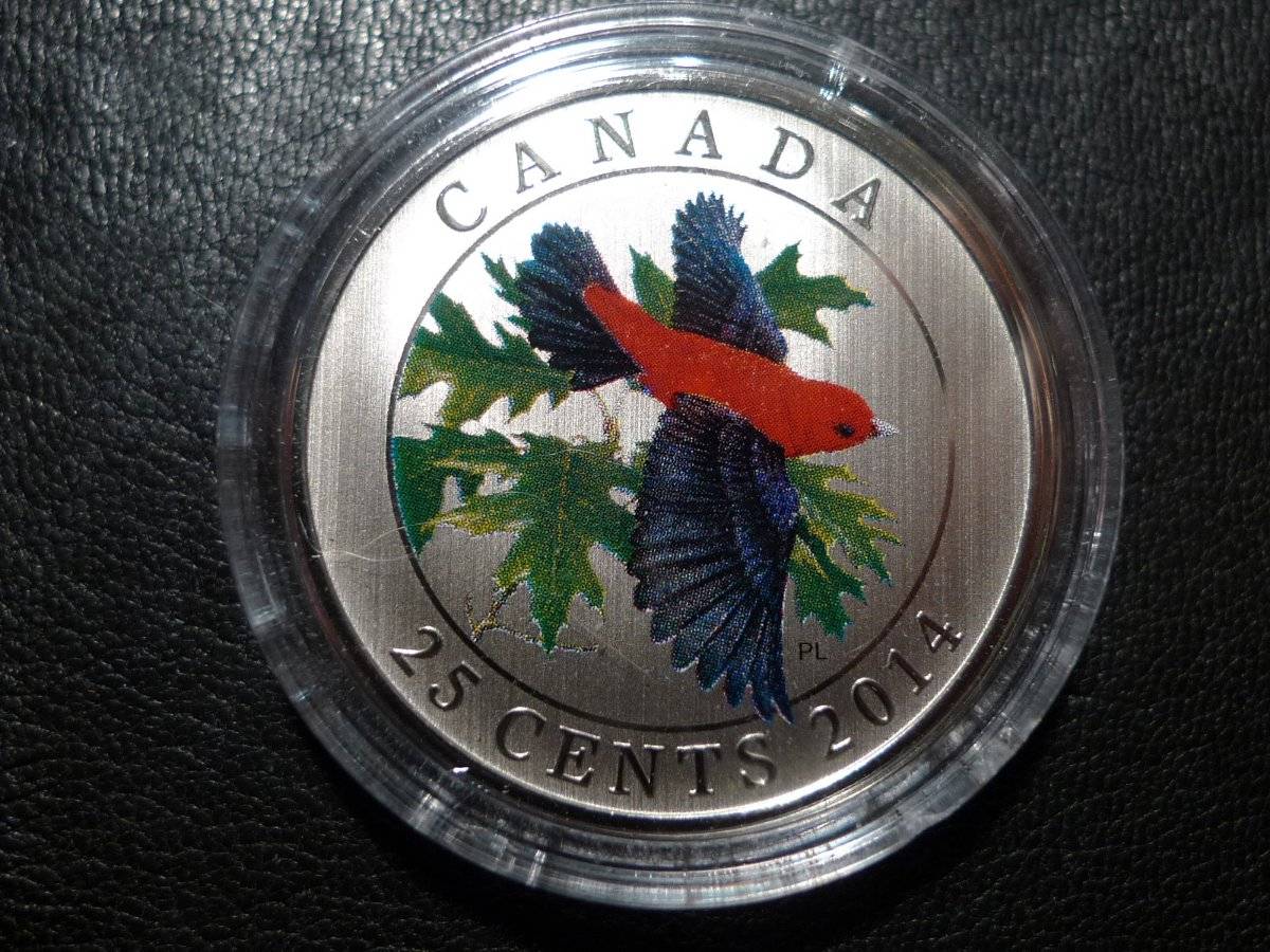 Post-Your-Most-Recent-Canadian-Coin-Purchases!