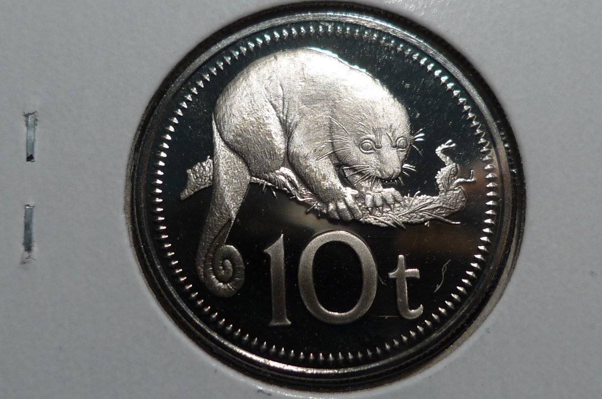 Around-The-World-With-Coins---A-Coin-Geography-Game