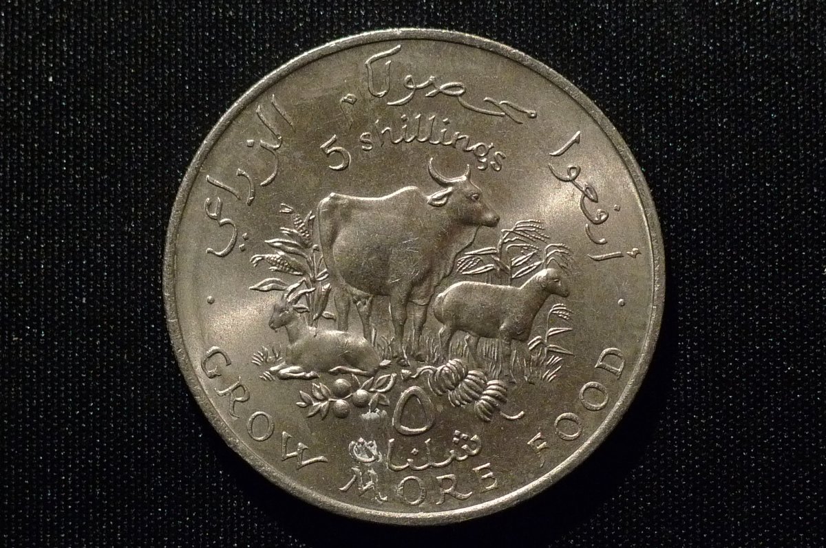 Yet-Another-Forum-Game---Numismatic-Go-Fish!
