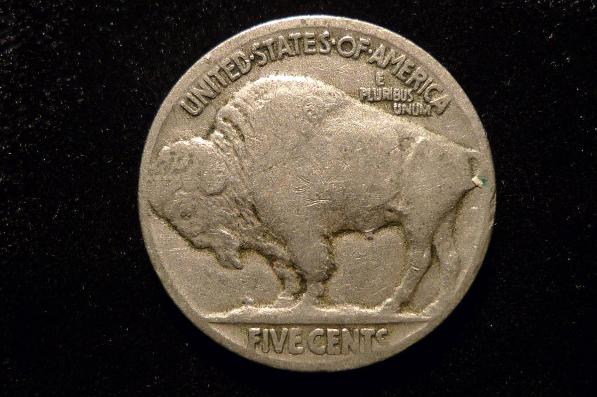 Post-Your-Coins-Representing-The-Animal-Kingdom.