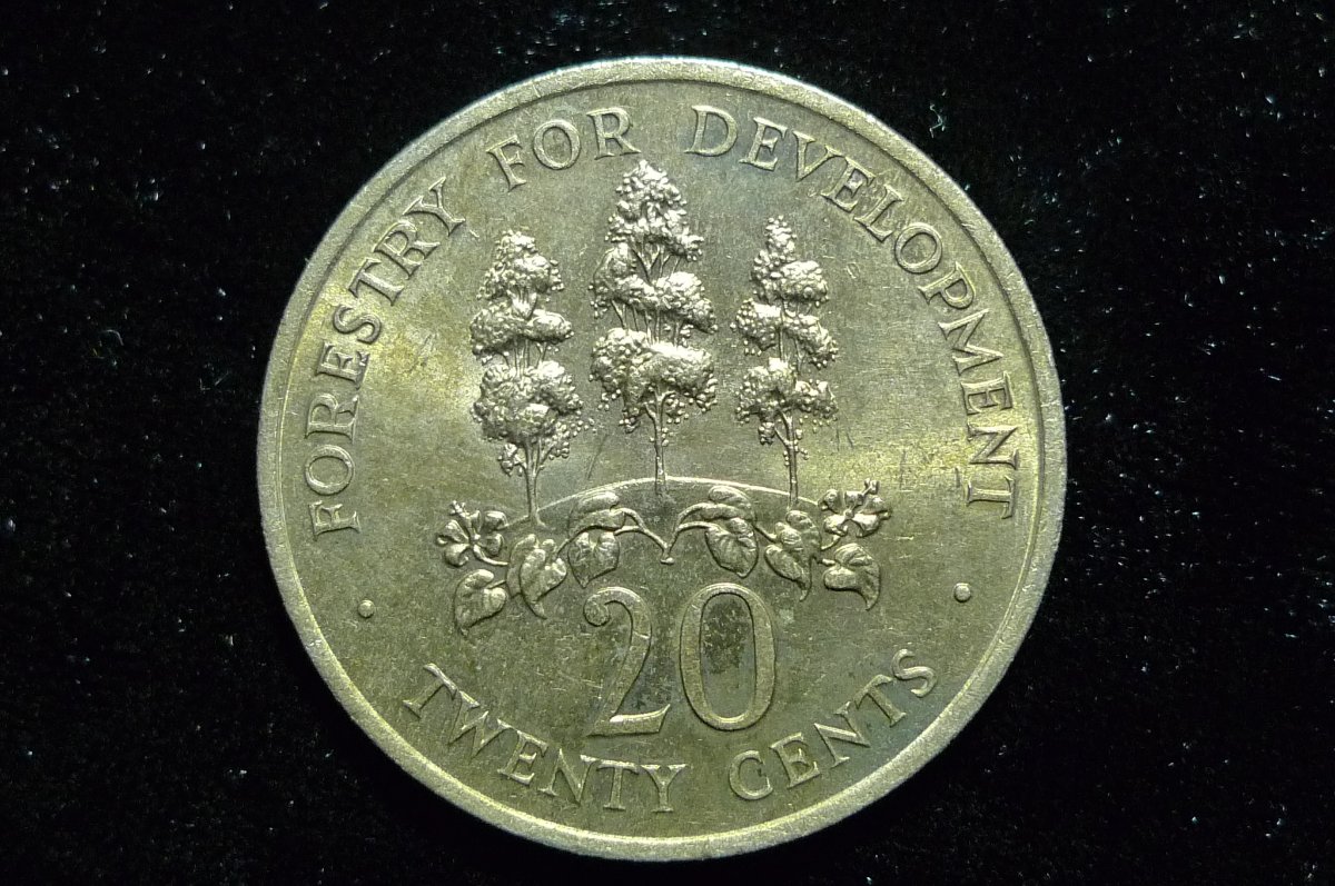 Post-Your-Coins-And-Medals-With-Trees