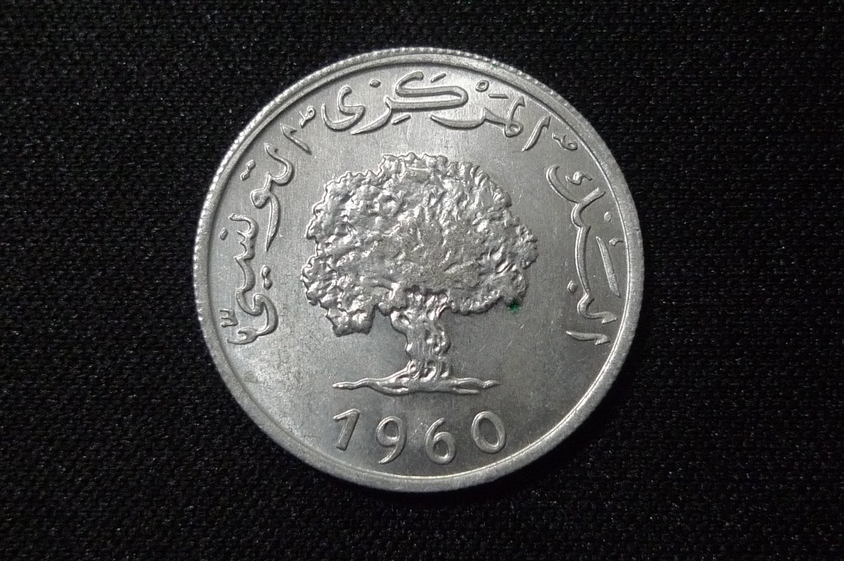 Post-Your-Coins-And-Medals-With-Trees