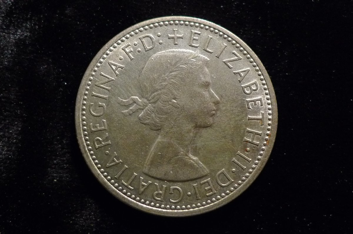 Post-Your-Lion-Coins!