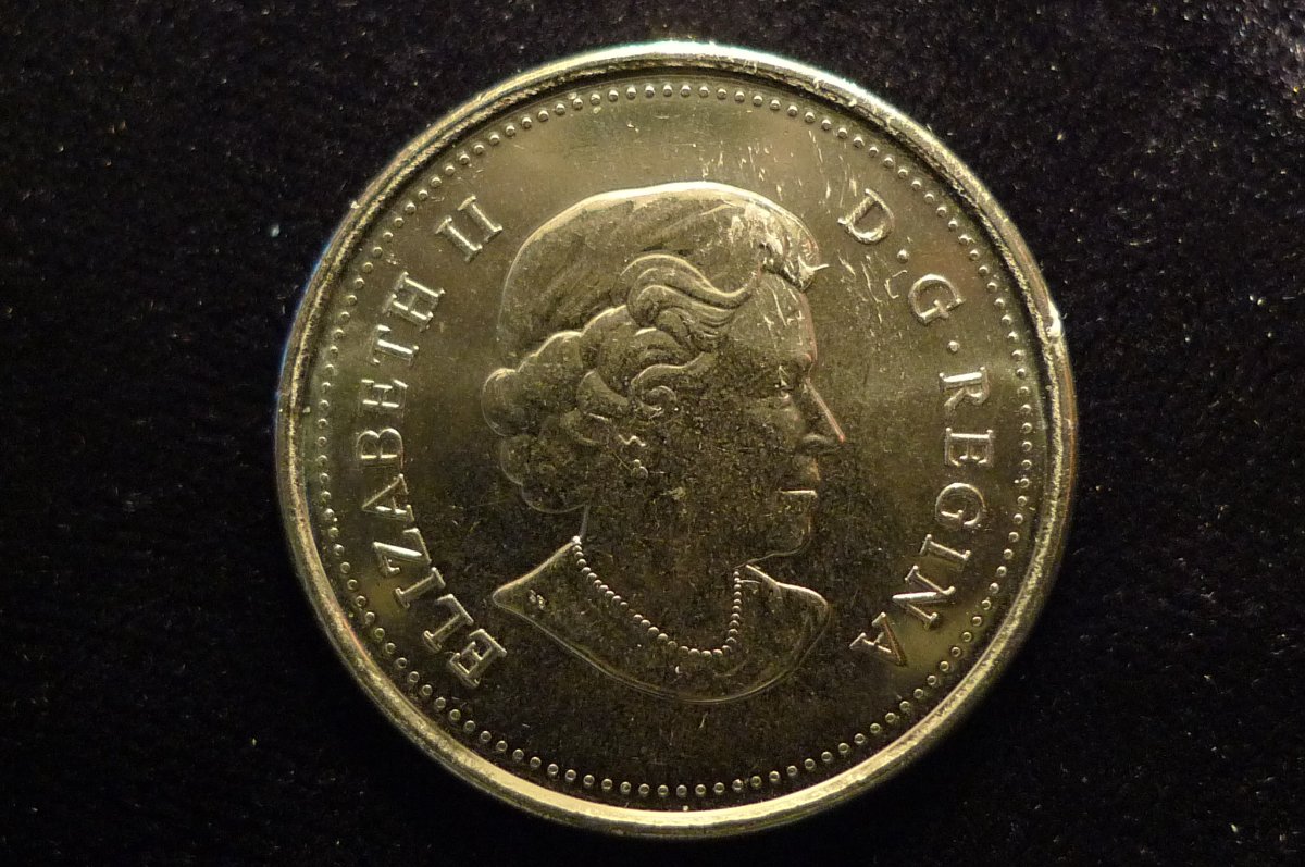 Favorite-Coin-With-An-Antarctic-Theme.
