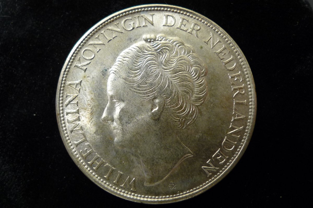 Post-Your-Lion-Coins!