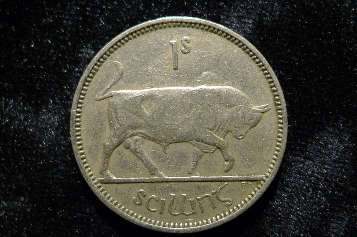 Post-Your-Coins-Representing-The-Animal-Kingdom.