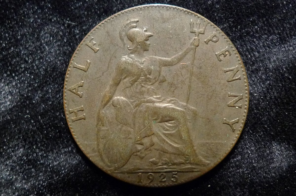 Show-Us-Yer-Gorgeous-Georges