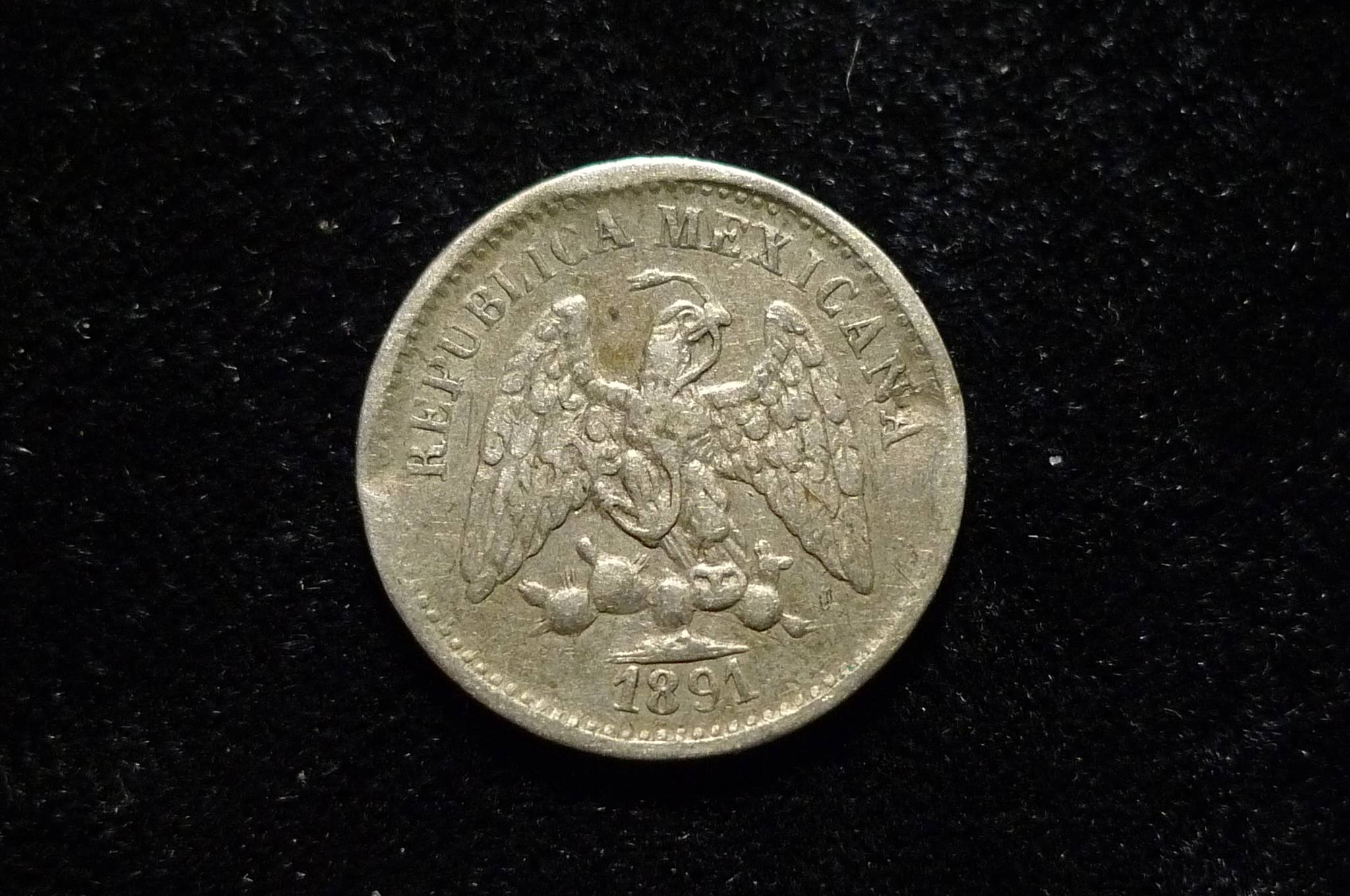 Post-Your-Coins-Representing-The-Animal-Kingdom.