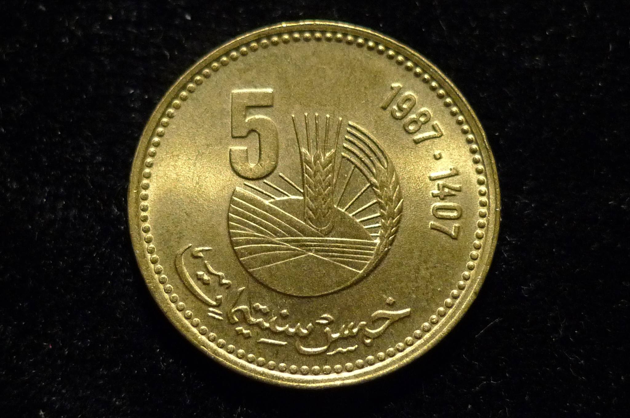 Post-Your-Sun-Face,-Sunrise,-Or-Sunset-Coins!