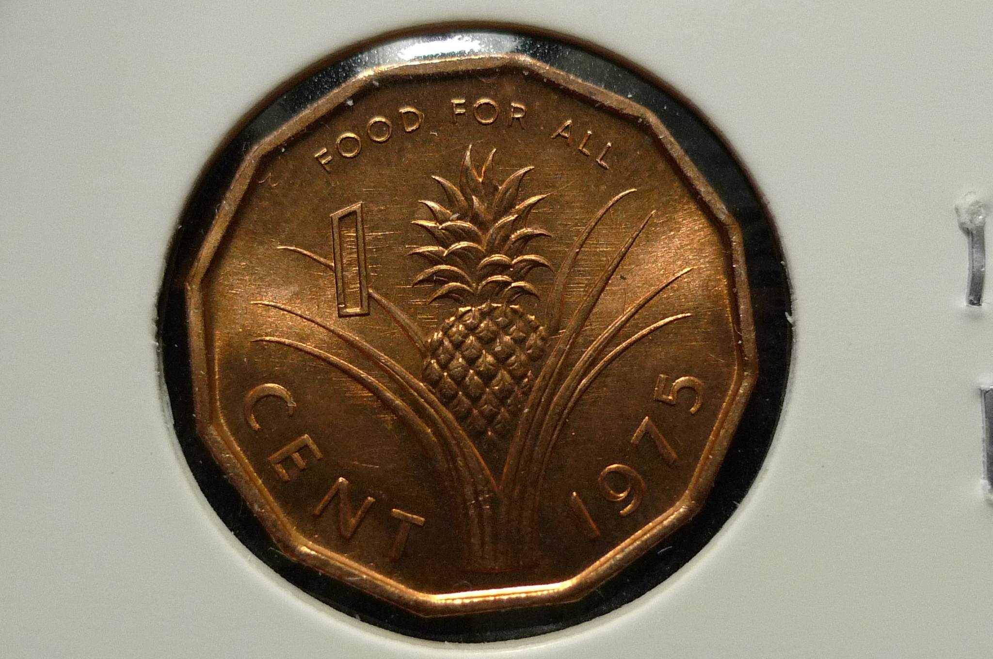 Show-Your-Coins-With-Different-Edges