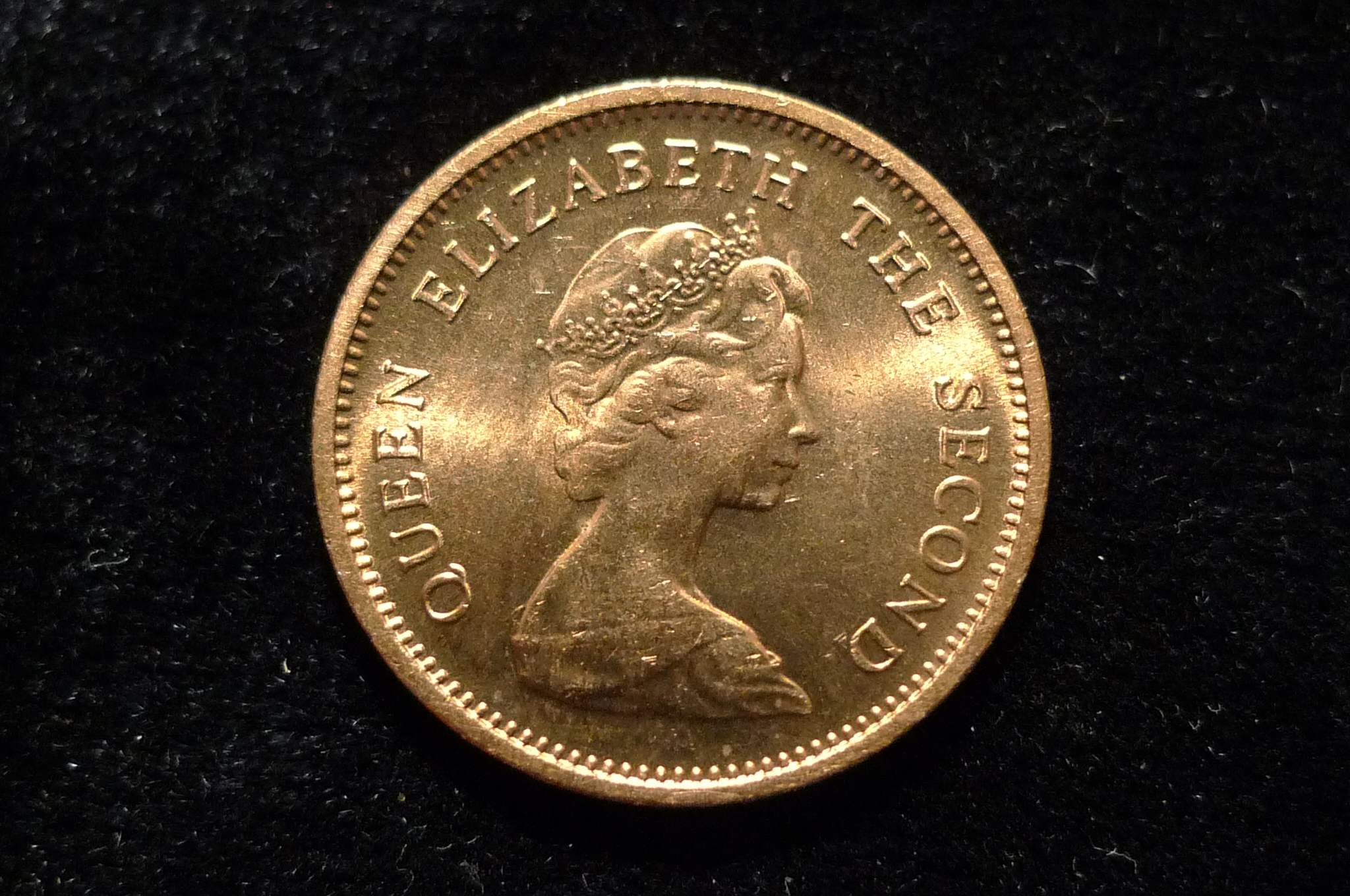 Post-Your-Lion-Coins!