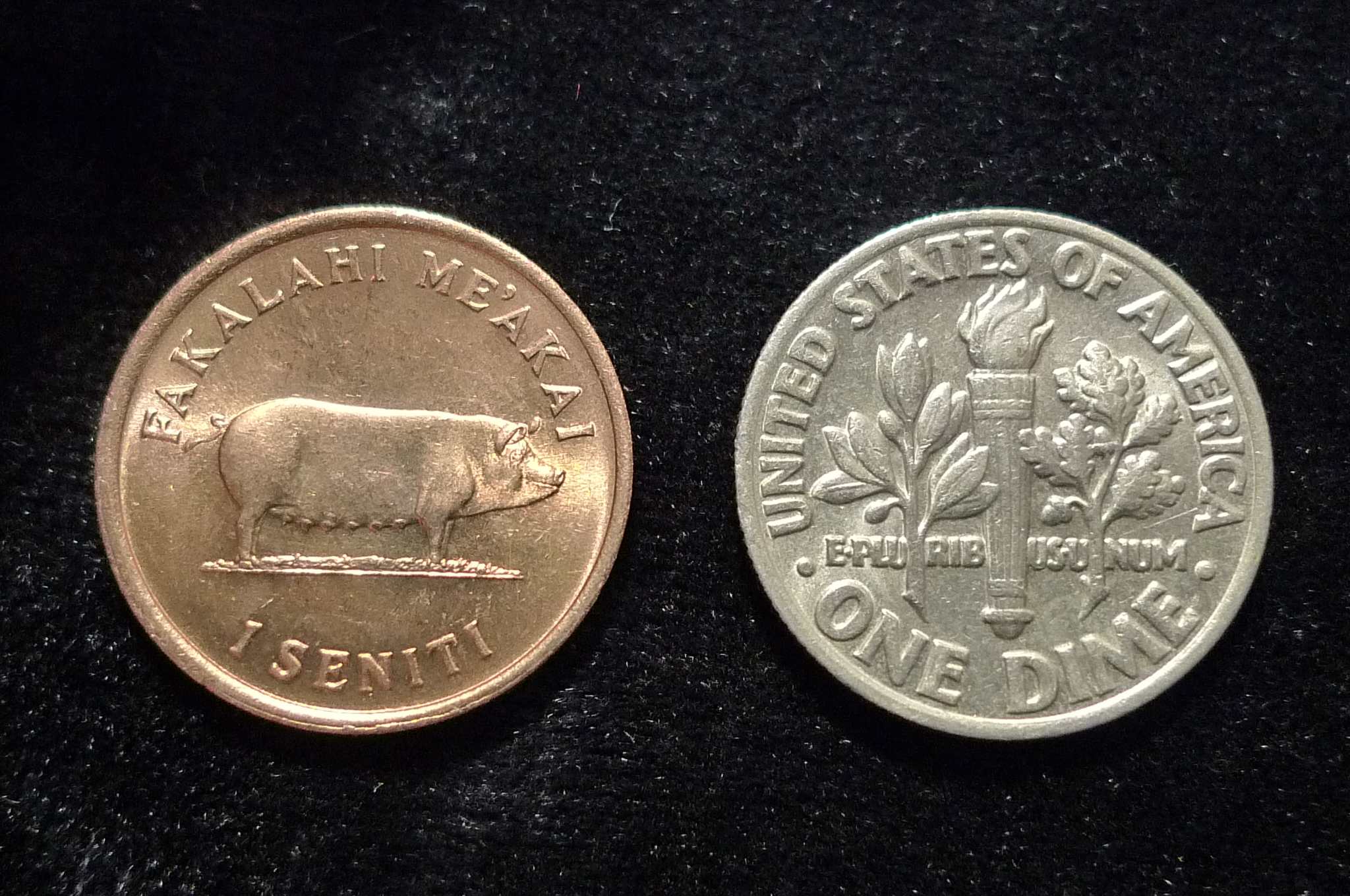 Post-Your-Tiny-Coins!