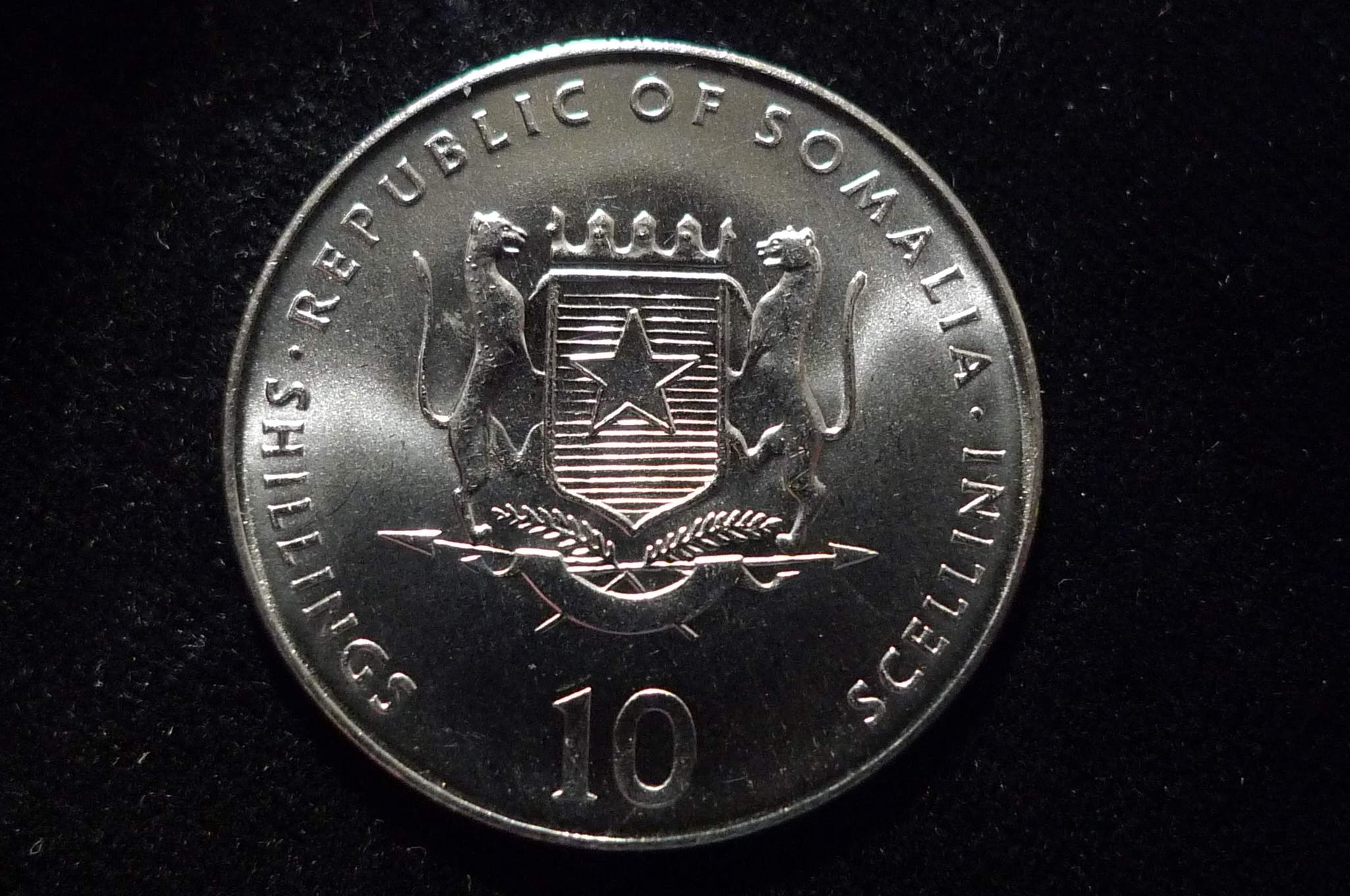 Post-Your-Rabbit-Coins