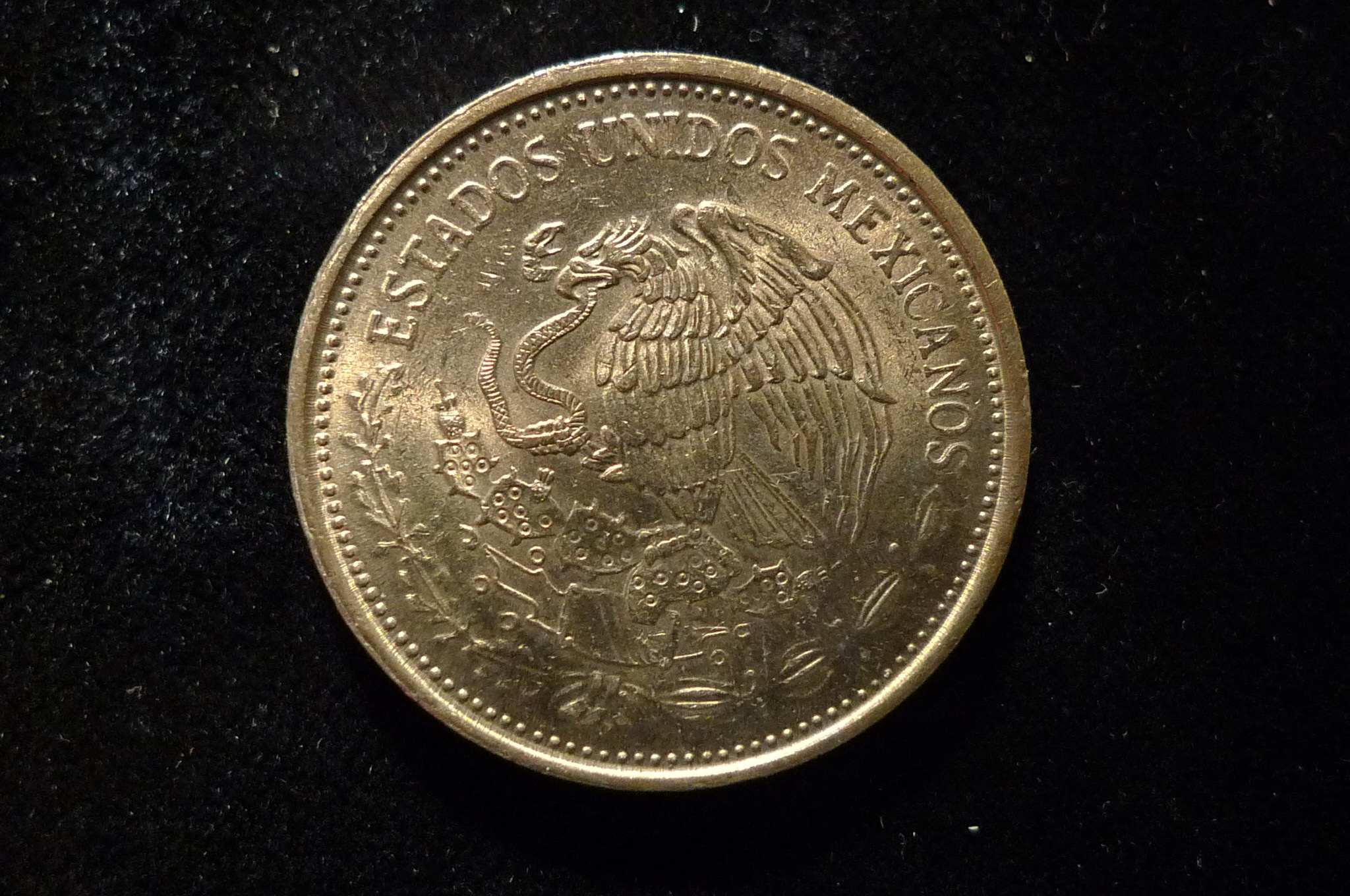 Show-Your-Coins-With-Different-Edges