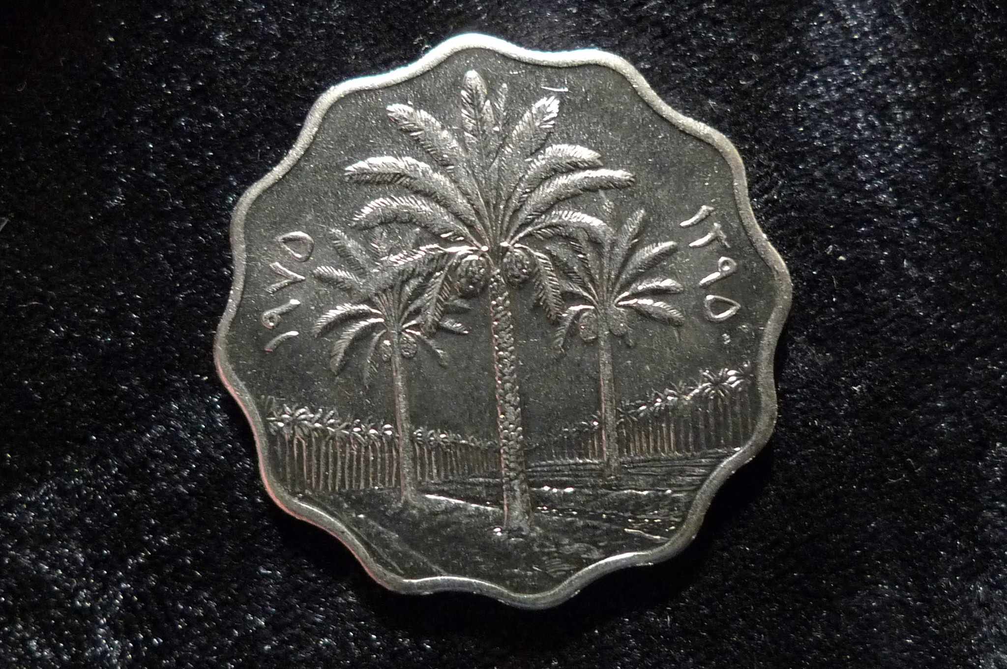 Post-Your-Coins-And-Medals-With-Trees