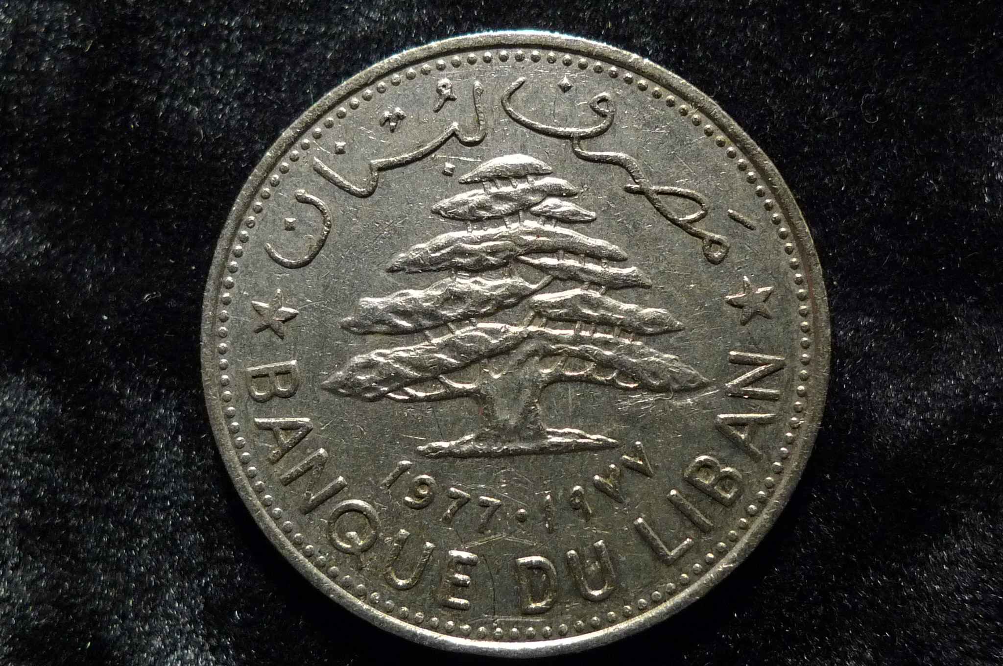 Post-Your-Coins-And-Medals-With-Trees