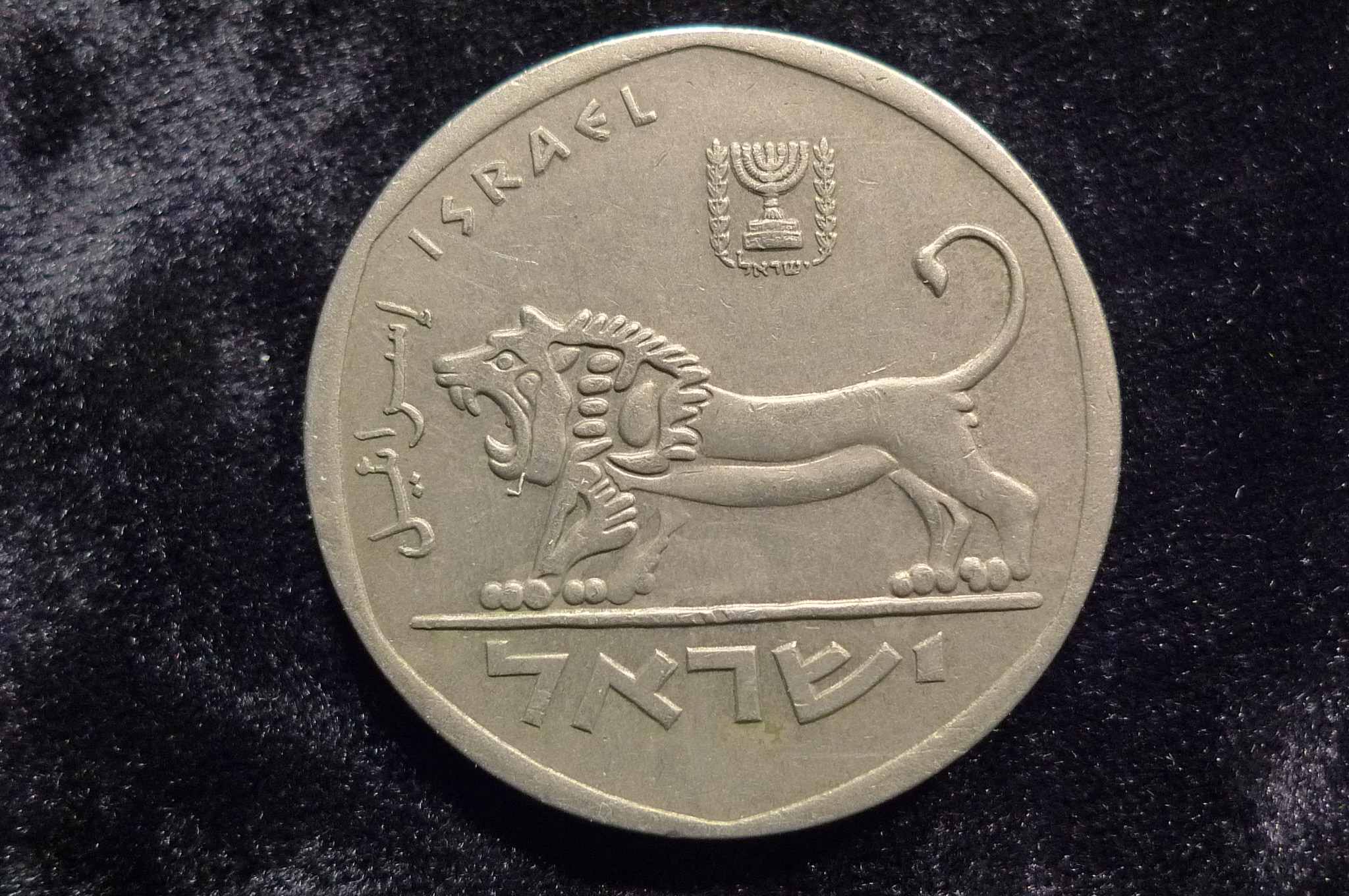 Post-Your-Lion-Coins!