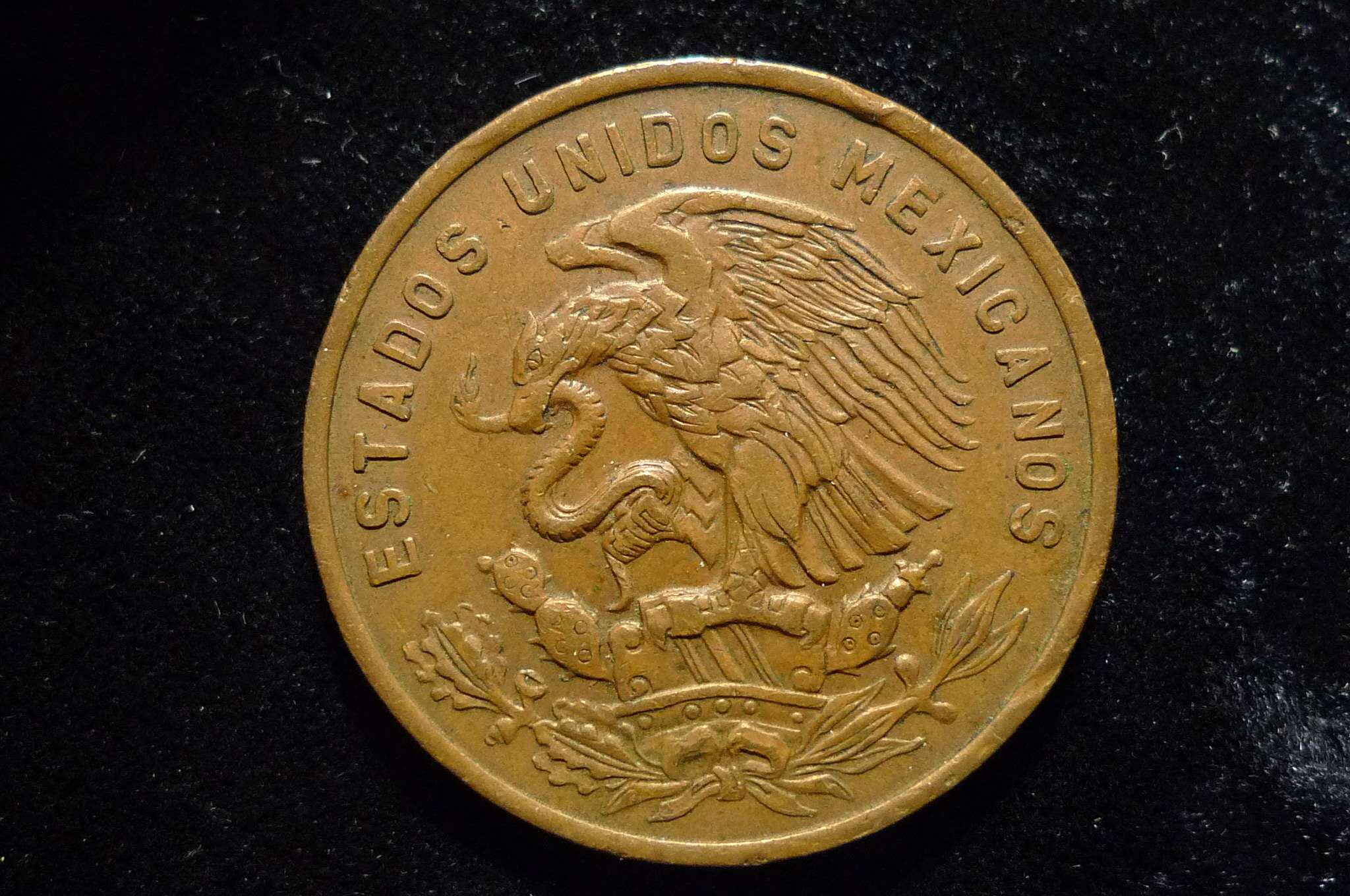 Post-Your-Sun-Face,-Sunrise,-Or-Sunset-Coins!