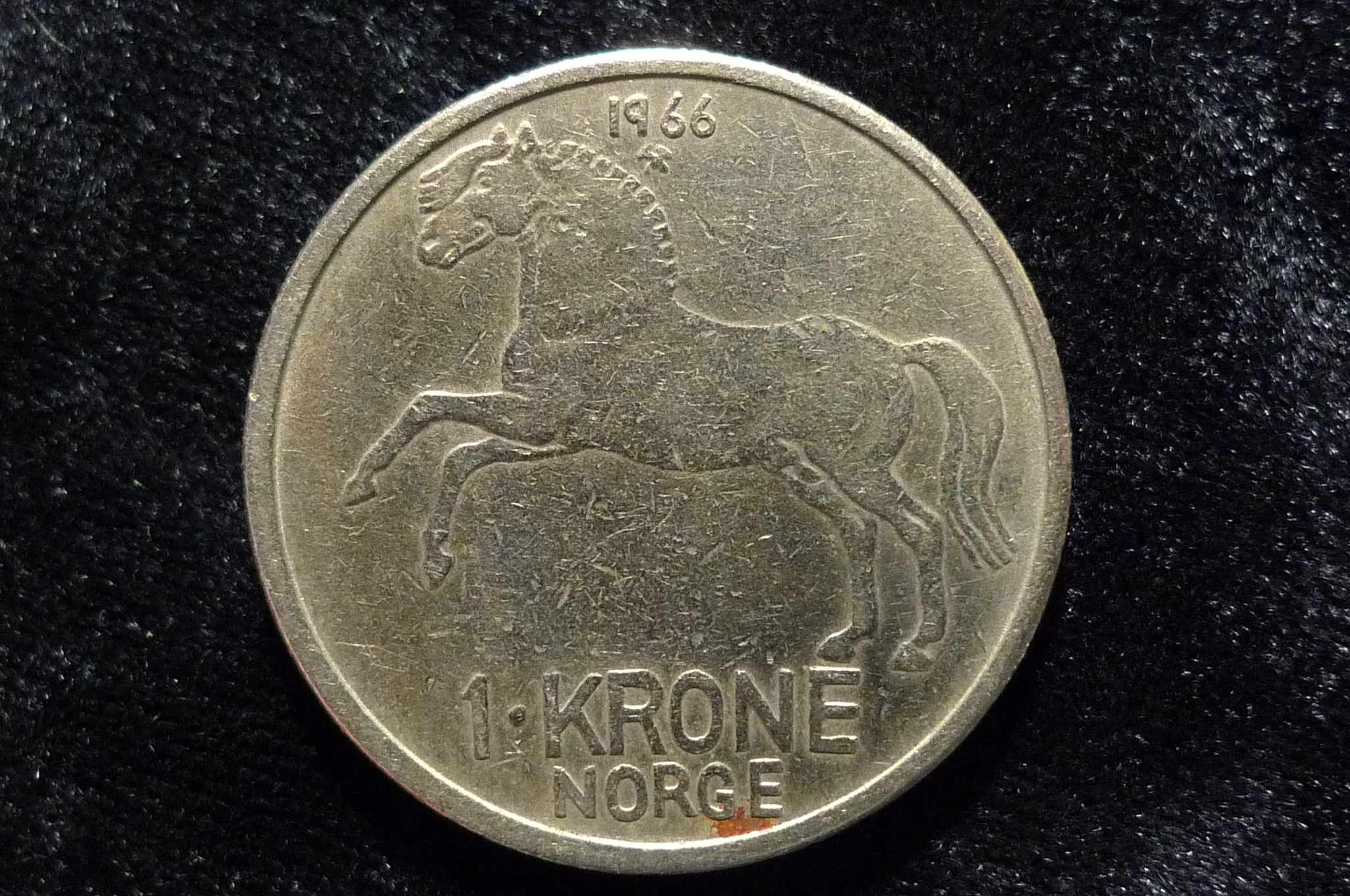 Post-Your-Coins-With-Horses