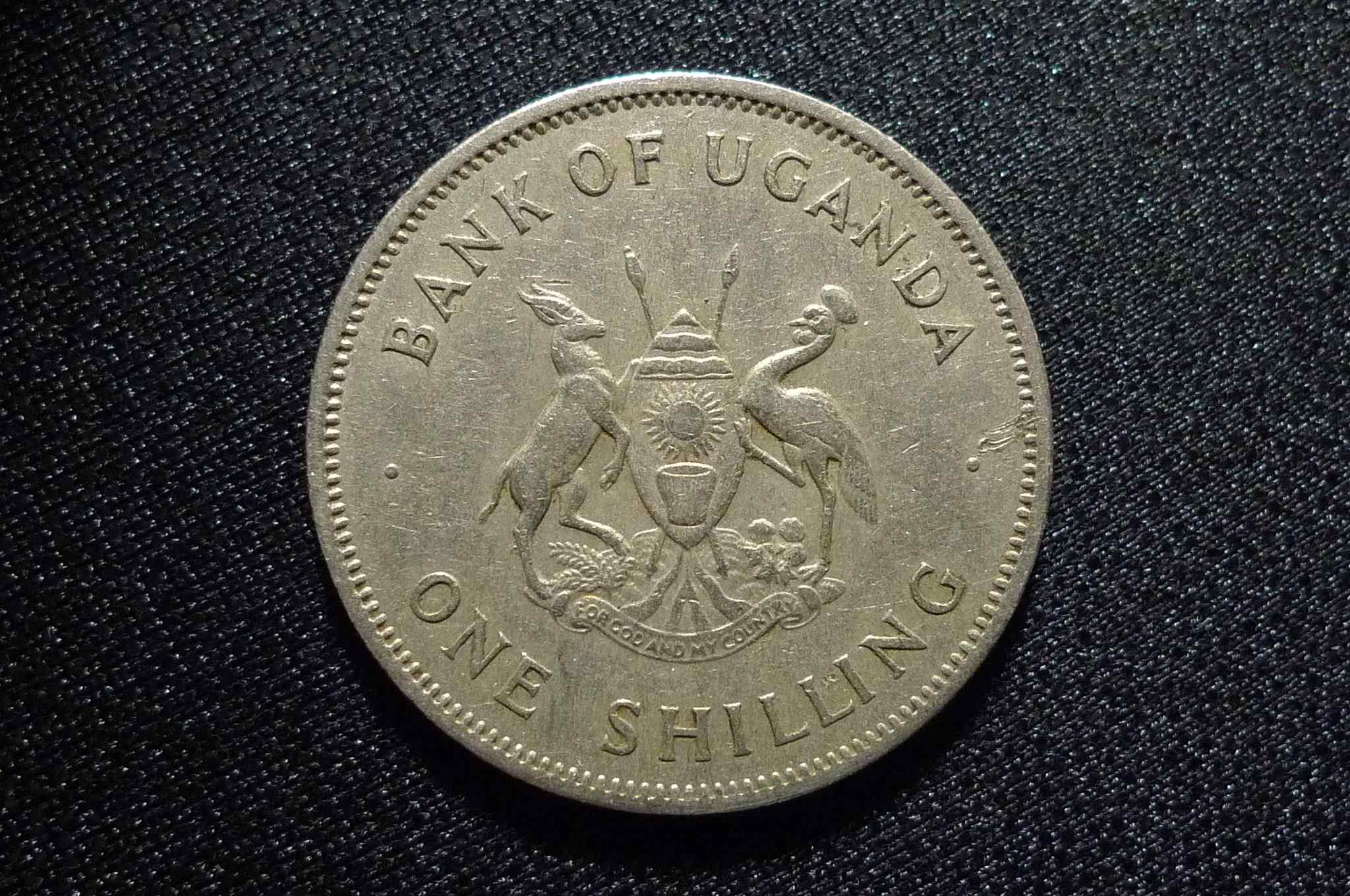 Post-Your-Volcano-And-Mountain-Coins
