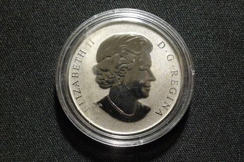 Queen-Elizabeth-II-Memorial-Thread