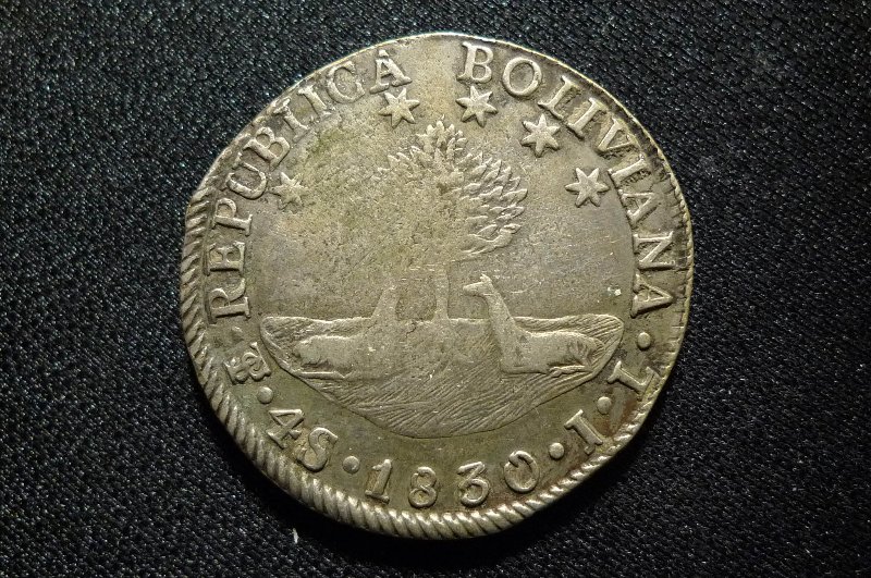 Post-Your-Coins-And-Medals-With-Trees
