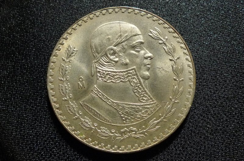 Post-Your-Bird-Coins