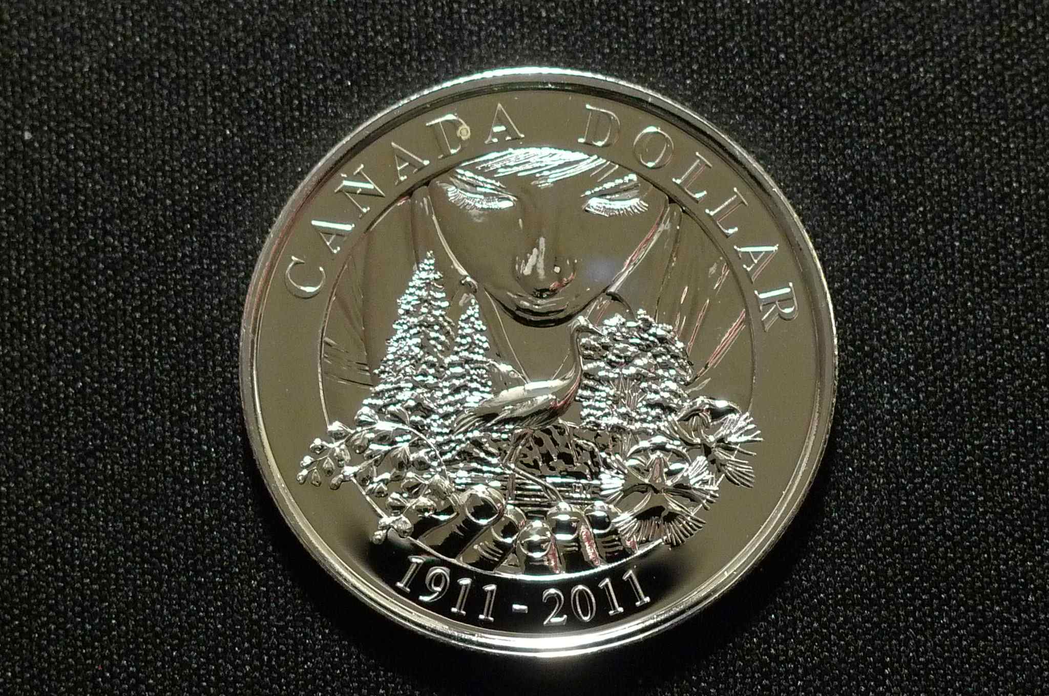 Post-Your-Bird-Coins