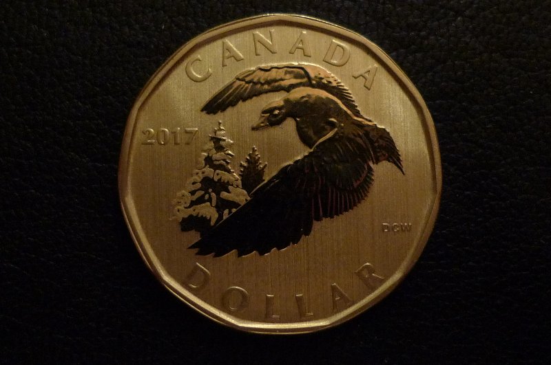 Post-Your-Bird-Coins