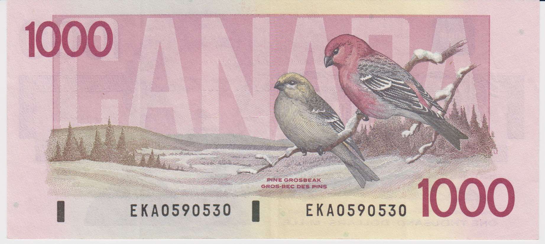 Post-Your-Avian-Notes!